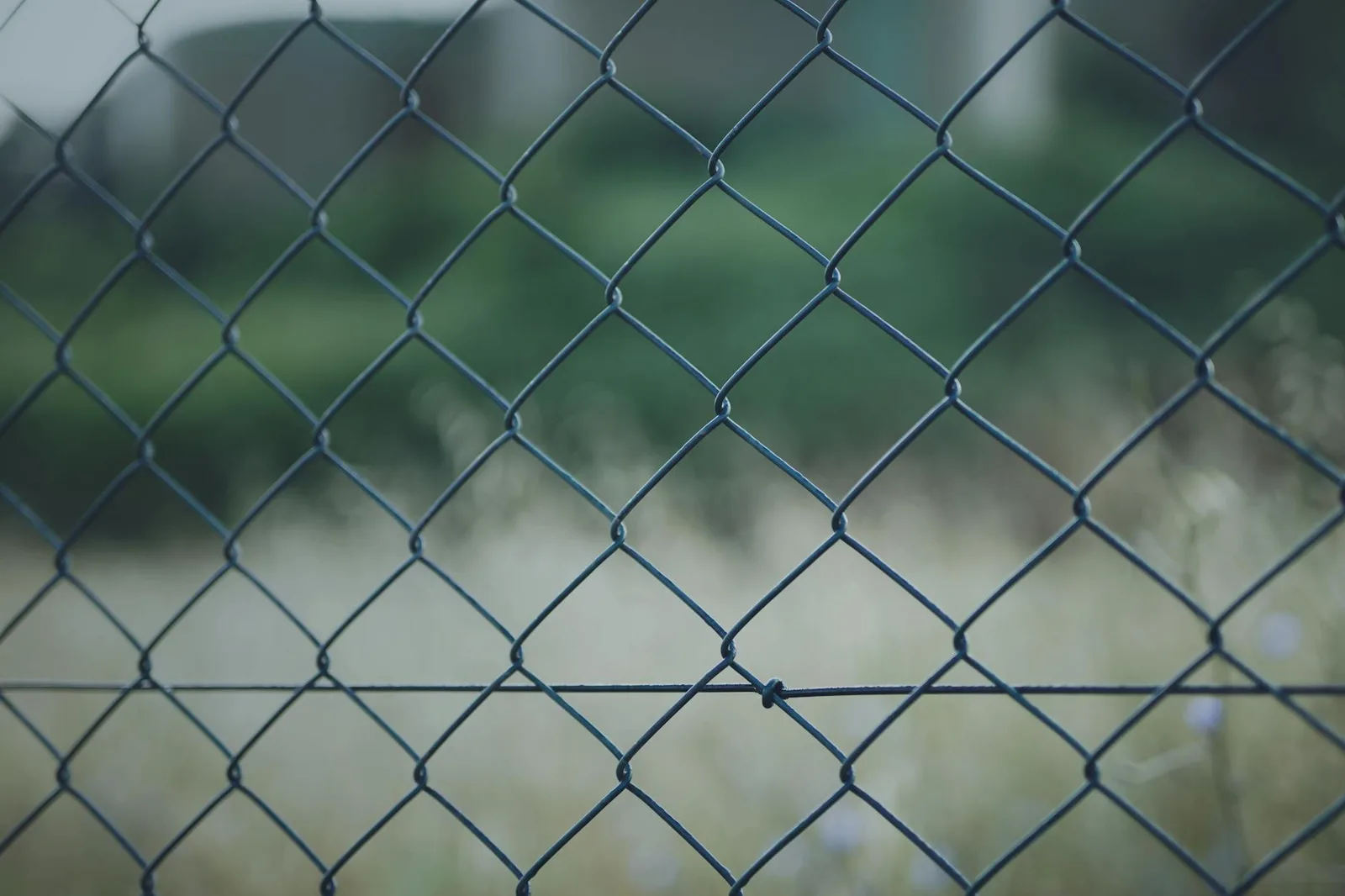 Best AI Security Tools in 2026 — Detailed view of a chain link fence outdoors against a blurred natural background.