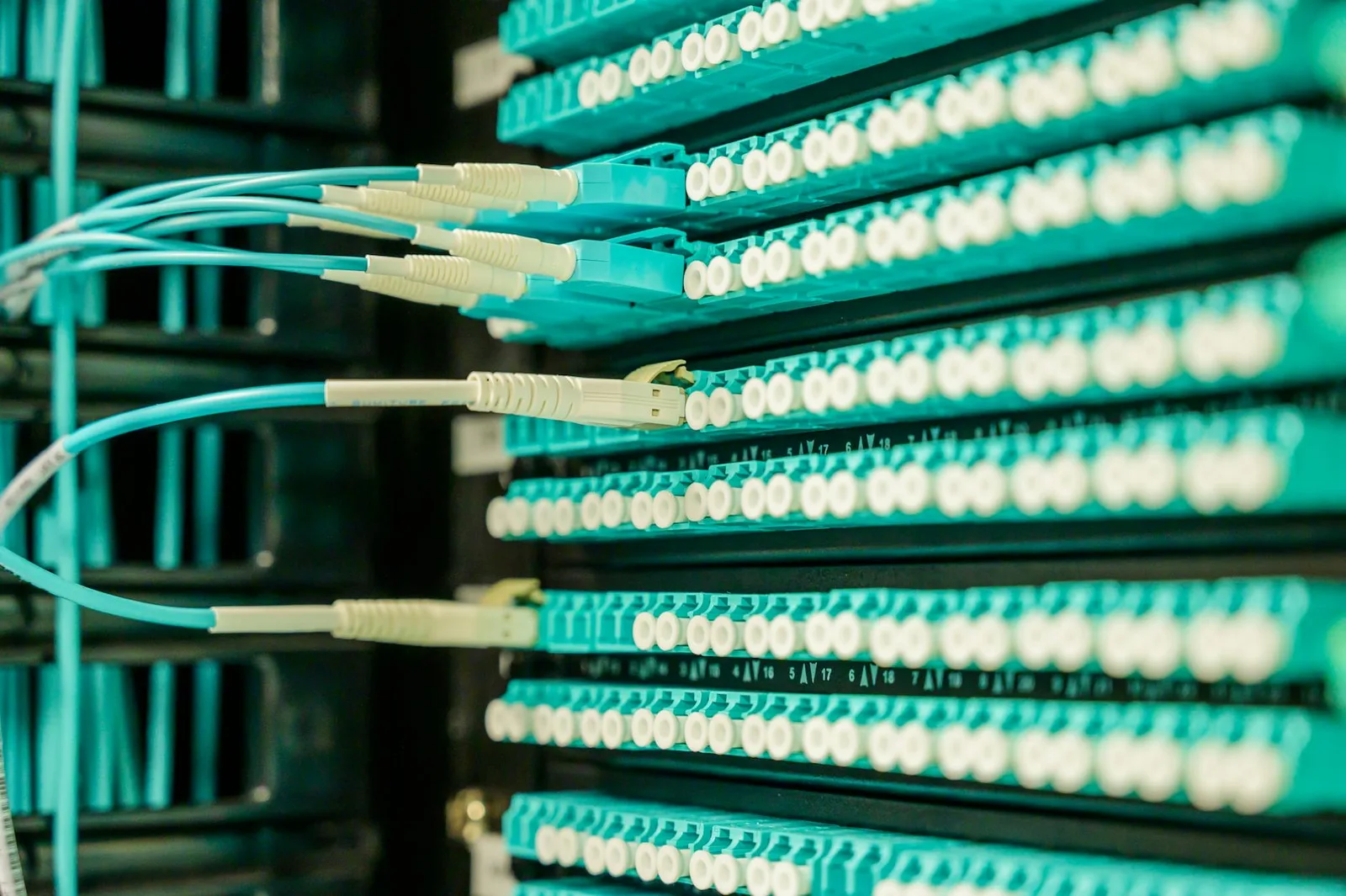 Best AI SPM Tools in 2026: Top 7 Compared — Networking cables plugged into a patch panel, showcasing data center connectivity…