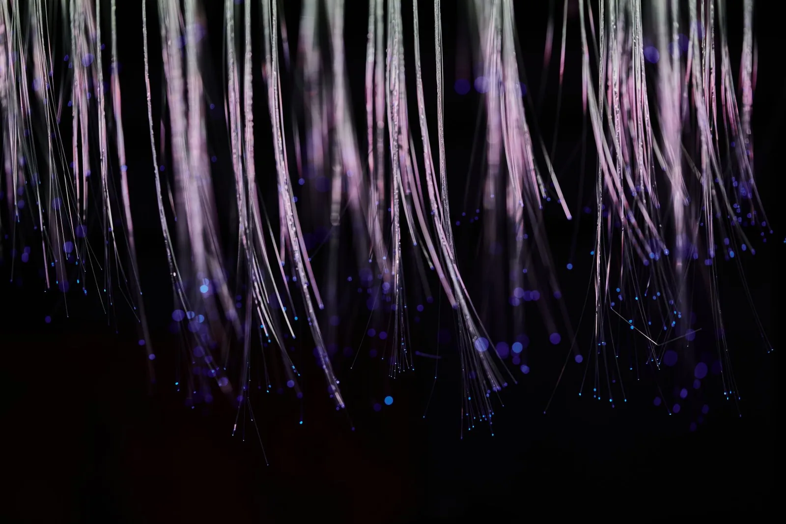 Best Data Protection Tools in 2026 — Abstract image of ethereal fiber optic strands cascading with glowing blue lights.