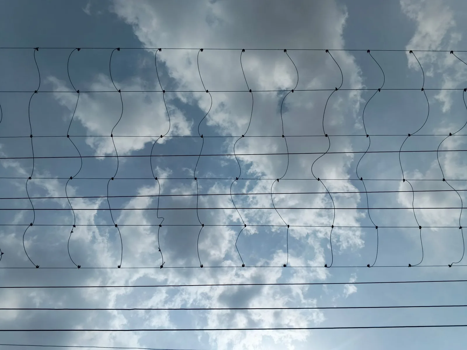 Best Cloud Web Application and API Protection Tools in 2026 — High voltage electric wires silhouetted against a vibrant cloud…