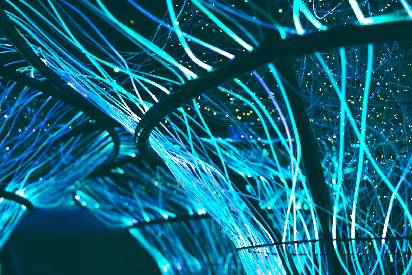 Trust Over Authority: Why the New CISO Asks Their Team, Not Gartner — A mesmerizing display of glowing neon blue optical fibe…