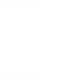 Blackwired logo