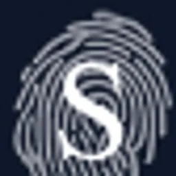 Stern Security logo
